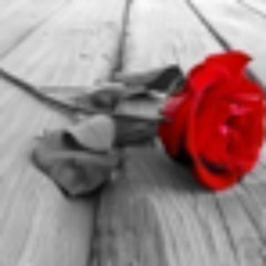 Patience-guns and roses  (cover Bruno)