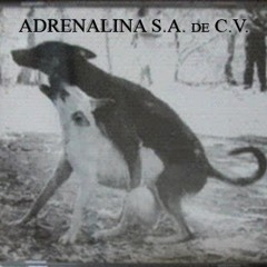 La Bacha-Adrenalina