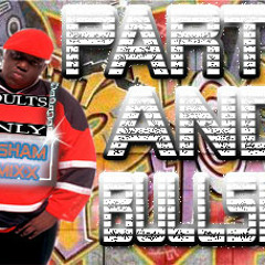 PARTY AND BULLSHIT REMIXX DJ SHAM