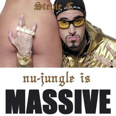Stevie C-Nu-Jungle Is Massive 8-12-11(256)