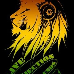 Live Injection - Deport Them - Sean Paul  / MistaFrew