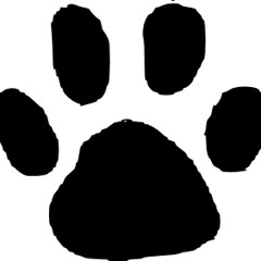 Rollz - Start Something