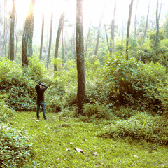 To dissappear when images may appear (demo)