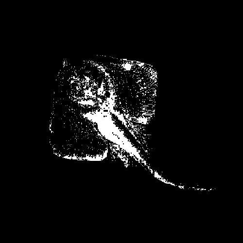 REBUS 05/Track B 1