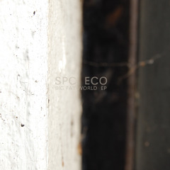 SPC ECO - Gone (Crying Vessel Remix)