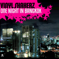 Vinyl Shakerz - One Night in Bangkok