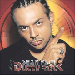 Sean paul get busy(drum n bass remix)
