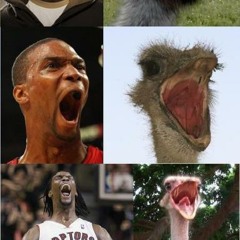 Chris Bosh (Bostrich)