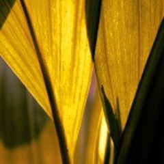 Kohle - Scent of brushed Steel