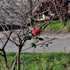 DJ Maneesh - Digital Nomad Dubstep (Short Mix)