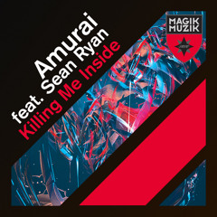 Amurai feat Sean Ryan - Killing Me Inside (Radio Edit)