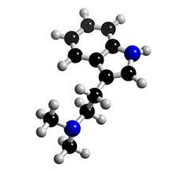 Serotonin suppliment