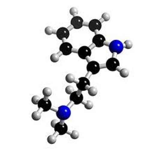 Serotonin suppliment