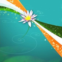 ye mere vatan ke logon..  zara aankh mein bhar lo paani..