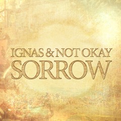 Ignas, Not Okay - Sorrow