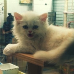 쿨의 해변의 여인 불러봄 ㅋㅋ