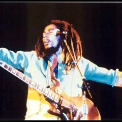 Bob Marley - The Heaten (Semente Psicodélica RMX)