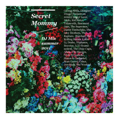 Secret Mommy - Live DJ Set Summer 2011