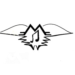 Mysterious Flying Maschine- Song 2(instrumental)