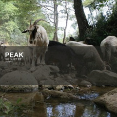 PEAK - a train to roots (2.20pm)