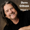 Dave Gibson & Friends - Id Rather Be An Outlaw