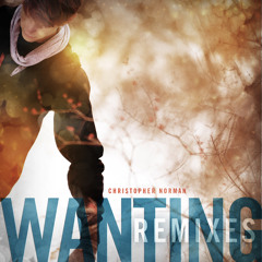 Wanting (Einmeier Remix)