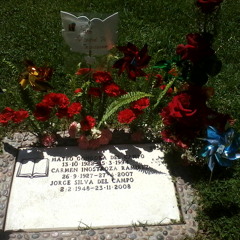 Viejo mi querido viejo(masi di melo)