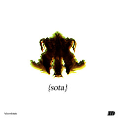 SOTA - I Think I Love You ft. Janae Jones