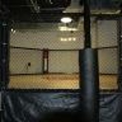 Pain (Ufc fight song for mma fighters)