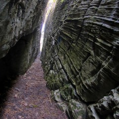 JDigital & Solarr:  This Way ft. amphibian