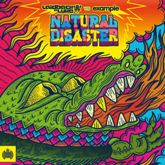 Laidback Luke vs Example - Natural Disaster - Skream Remix