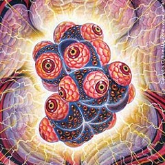 Crystall - From Chaos to Harmony