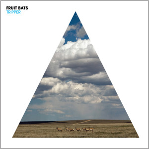 Fruit Bats - You're Too Weird