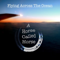 A Horse Called Horse - Flying Across The Ocean (Waiting To Land)