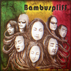 Bambu Spliff - Once In A Lifetime