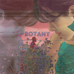 Botany - Agave