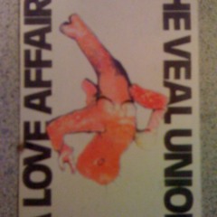 Veal Union - It Certainly Won't