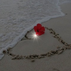 Phirr mohabbat