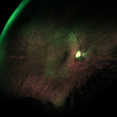 Get Held (Koso Koso Remix) / Geotic