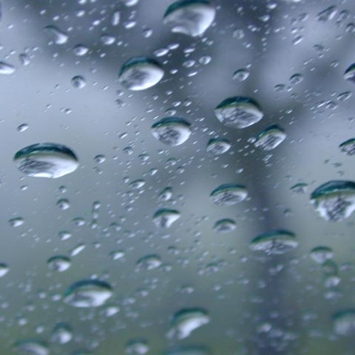Watching the Rain