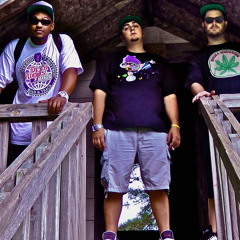 Never Gon Land (Feat. Dizzy D & Shady Blaze)