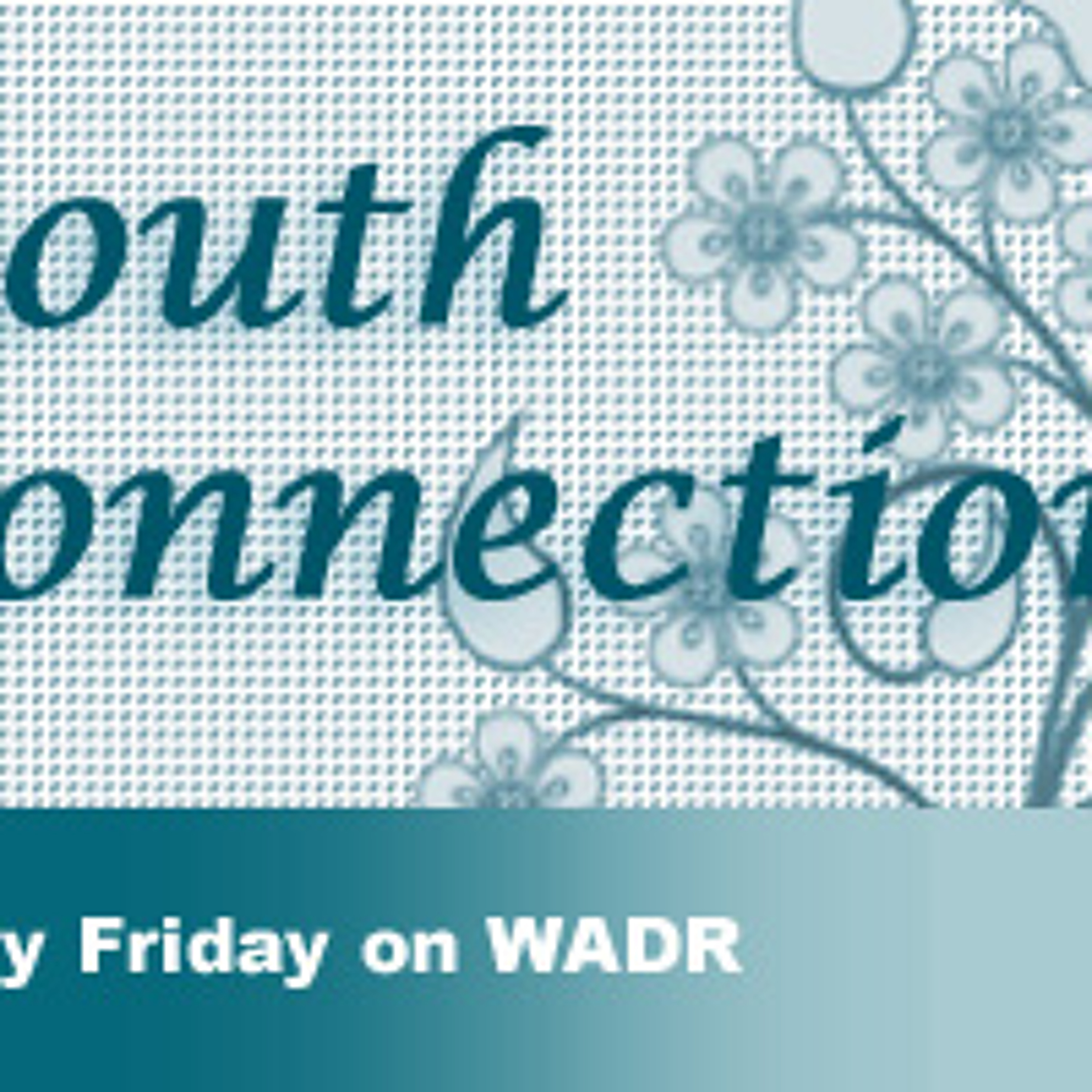 Youthconnection081911 episode artwork