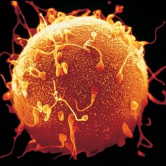 All You Need Is A Fertile Mind (Gene Marshall)