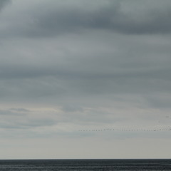 I'mpty - Some Winters Destroy Us, Some Summers Never Come