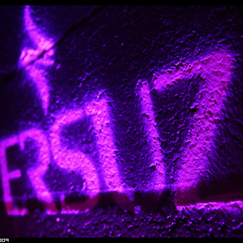 008 - VERSUZ LIVE // DAVE LAMBERT