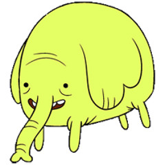 Liberated from the Negative