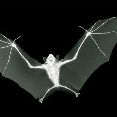 04 searching for (take 2)