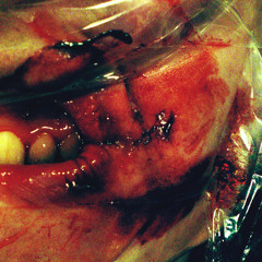 To all Ex's - Mastered