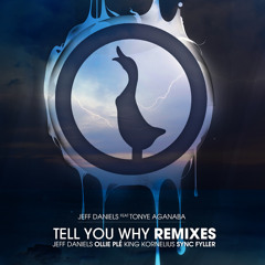 QR019 Jeff Daniels ft Tonye Aganaba -  Tell You Why (Summer 2011 Dubstep Remix)