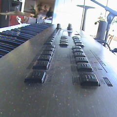 Love Like a Rose Skate Park